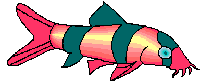 image of fish1