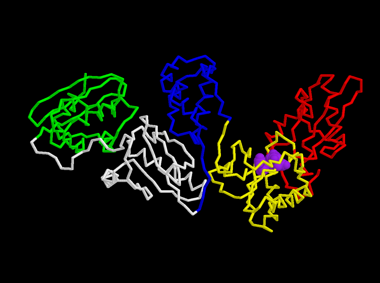 HIV-1 Reverse Transcriptase